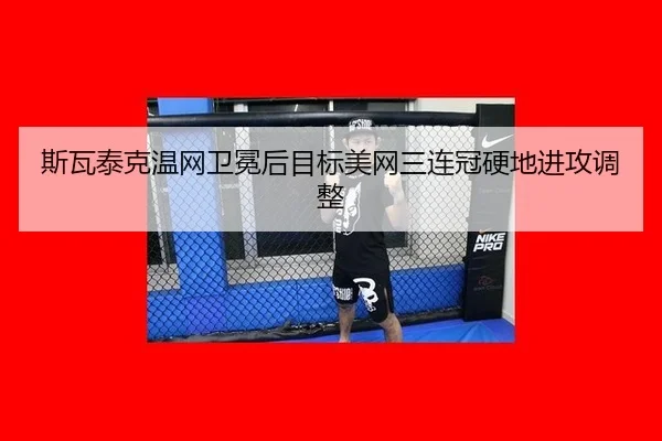 si-wa-tai-ke-wen-wang-wei-mian-hou-mu-biao-mei-wang-san-lian-guan-ying-di-jin-gong-tiao-zheng-3-255.jpg