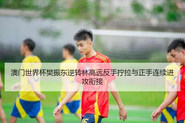 澳门世界杯樊振东逆转林高远反手拧拉与正手连续进攻衔接