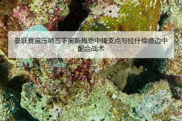 man-lian-xia-chuang-ya-shao-qian-xia-ao-si-mei-en-zhong-feng-zhi-dian-yu-la-shen-fu-de-bian-zhong-pei-he-zhan-shu-3-556.jpg